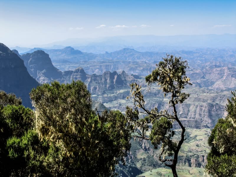 montañas simien