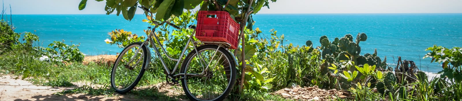 Airline bike fees: What's the cost of taking your bike on a plane? Airline bike fees: What's the cost of taking your bike on a plane?