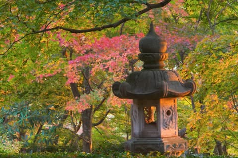 temple-garden-kyoto-japan