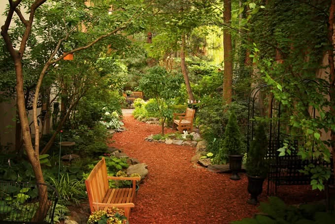 Community Gardens New York Comunidad Jardines © Vivienne Gucwa - NY A través de la lente 