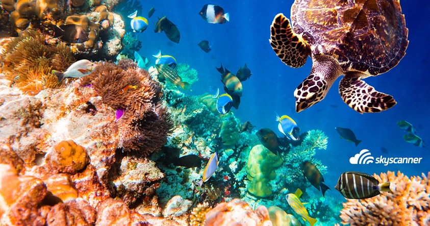 Biyadhoo, Maldives
