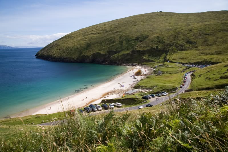 beach County Mayo