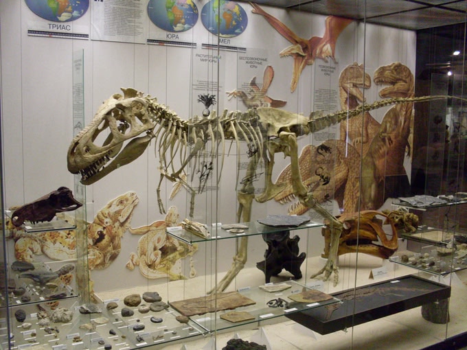 Дарвиновский музей в Москве