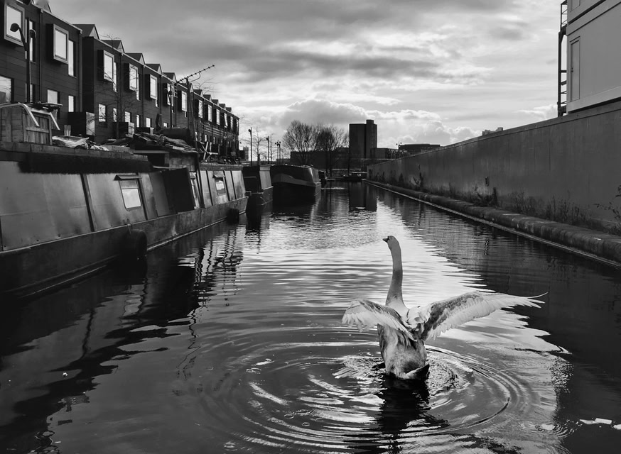 canal de Manchester en Reino Unido