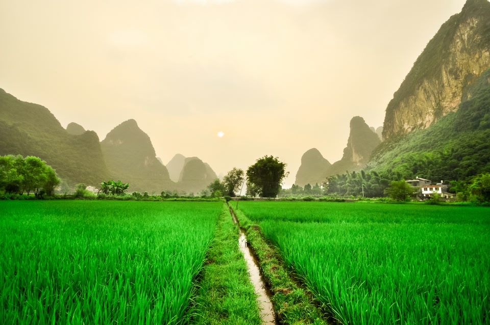 China