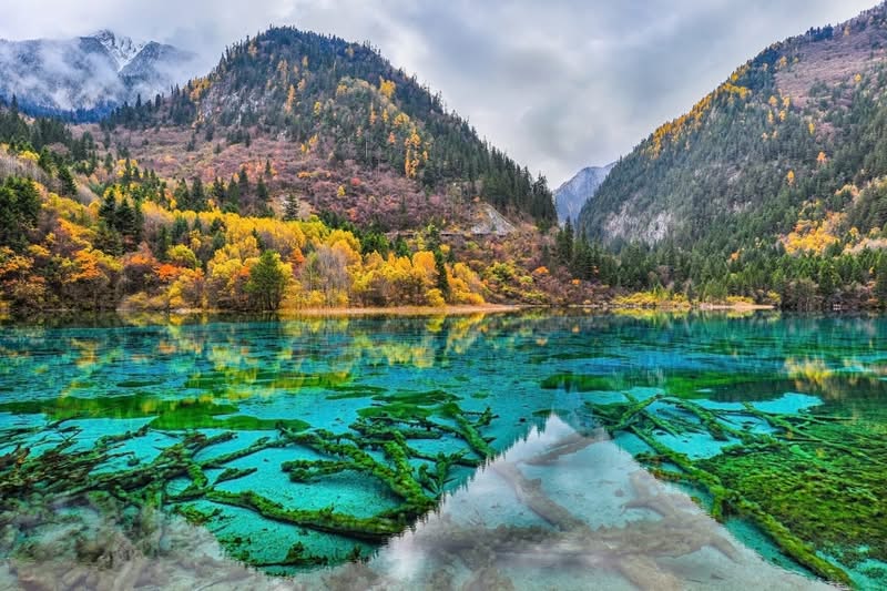 九寨溝 九寨溝
