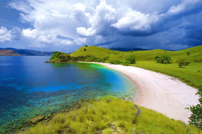 Pink Beach, Komodo Island, Indonesia Pink Beach, one of Komodo Island's most popular beaches