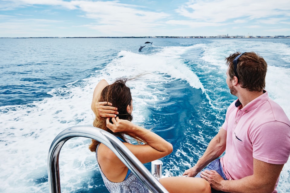 Dolphin Cruise