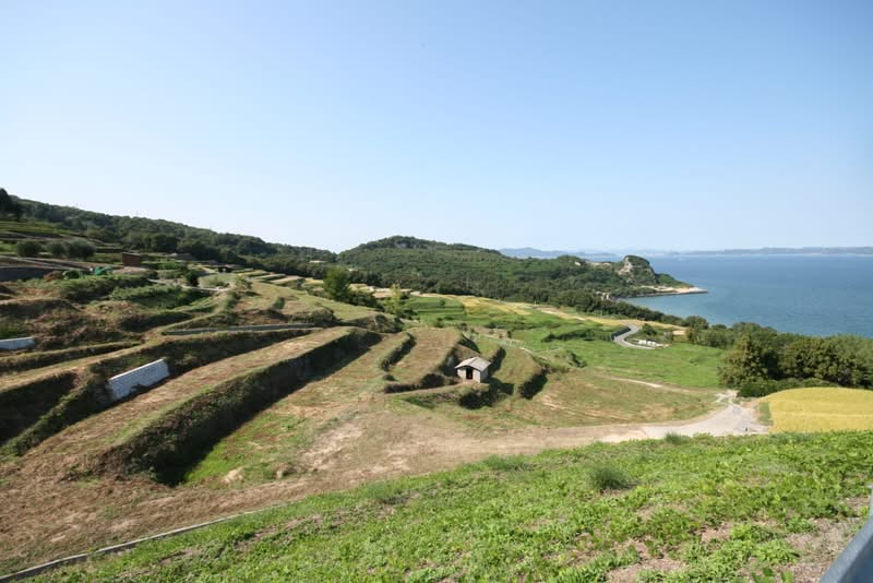 Viaggio in Giappone: cosa vedere e cosa fare nel Paese del Sol Levante