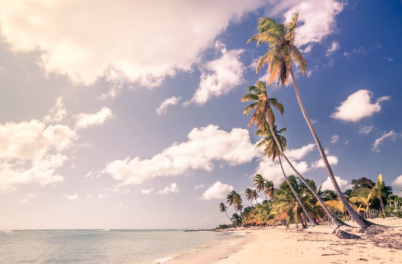 A white sand beach in the Dominican Republic