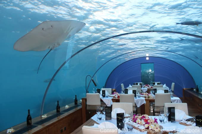 Vista Islands Restaurant Vista Islands Restaurant