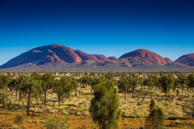 Imagen del Outback australiano