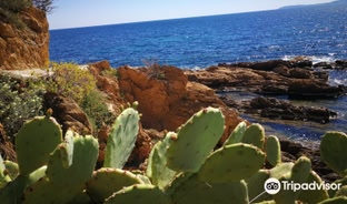 Cheap hotels near Camping Parc De Pramousquier, Le Lavandou | Skyscanner