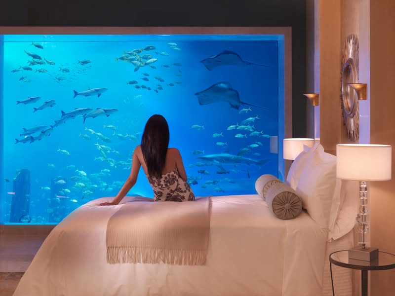 Sleeping With The Fishes World S Best Underwater Hotels Underwater Room At Atlantis The Palm Dubai