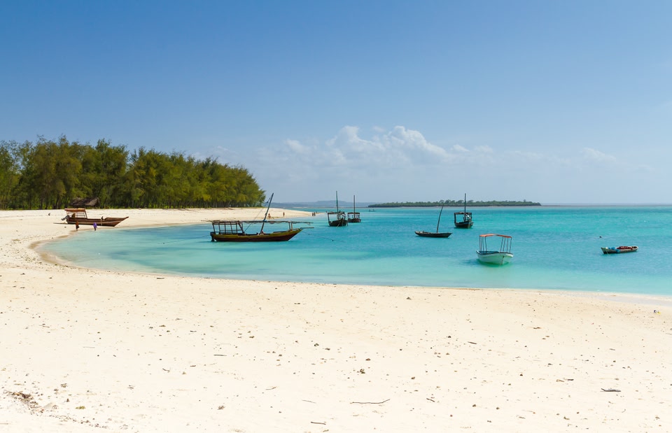 Wat te doen op Zanzibar 7 onmisbare tips voor je zonvakantie Skyscanner Wat te doen op Zanzibar 7 onmisbare tips voor je zonvakantie Skyscanner