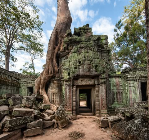 templo en ankor wat en camboya