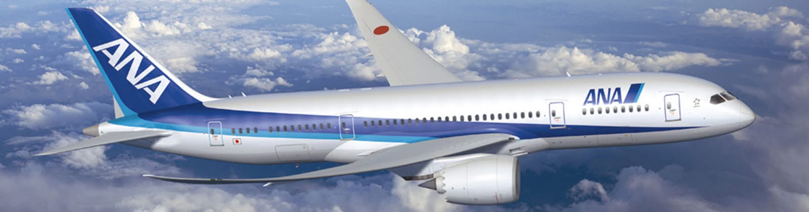 Informasi Bagasi All Nippon Airways (ANA)