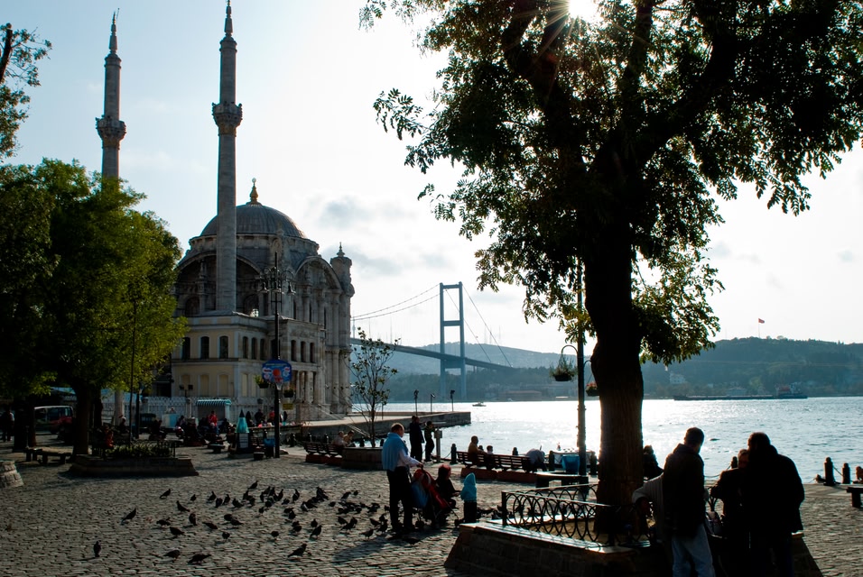 enter link description here