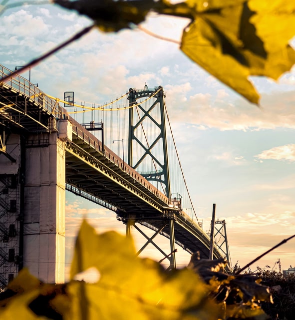 a Large Bridge with a Yellow Leaf in Halifax, Canada.