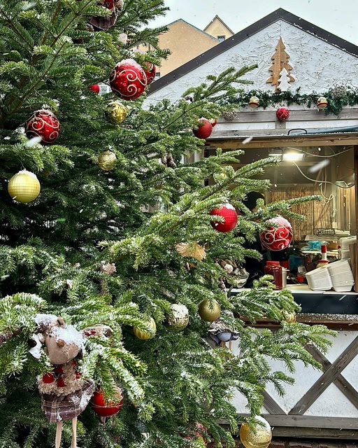 Close-up of Christmas tree