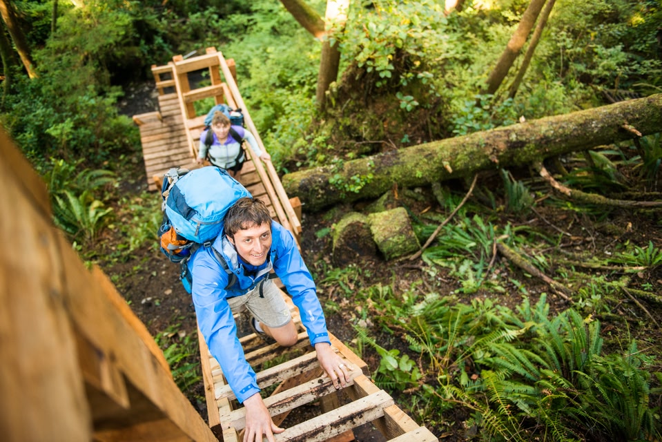 People climbing a ladder on the West Coast Trail