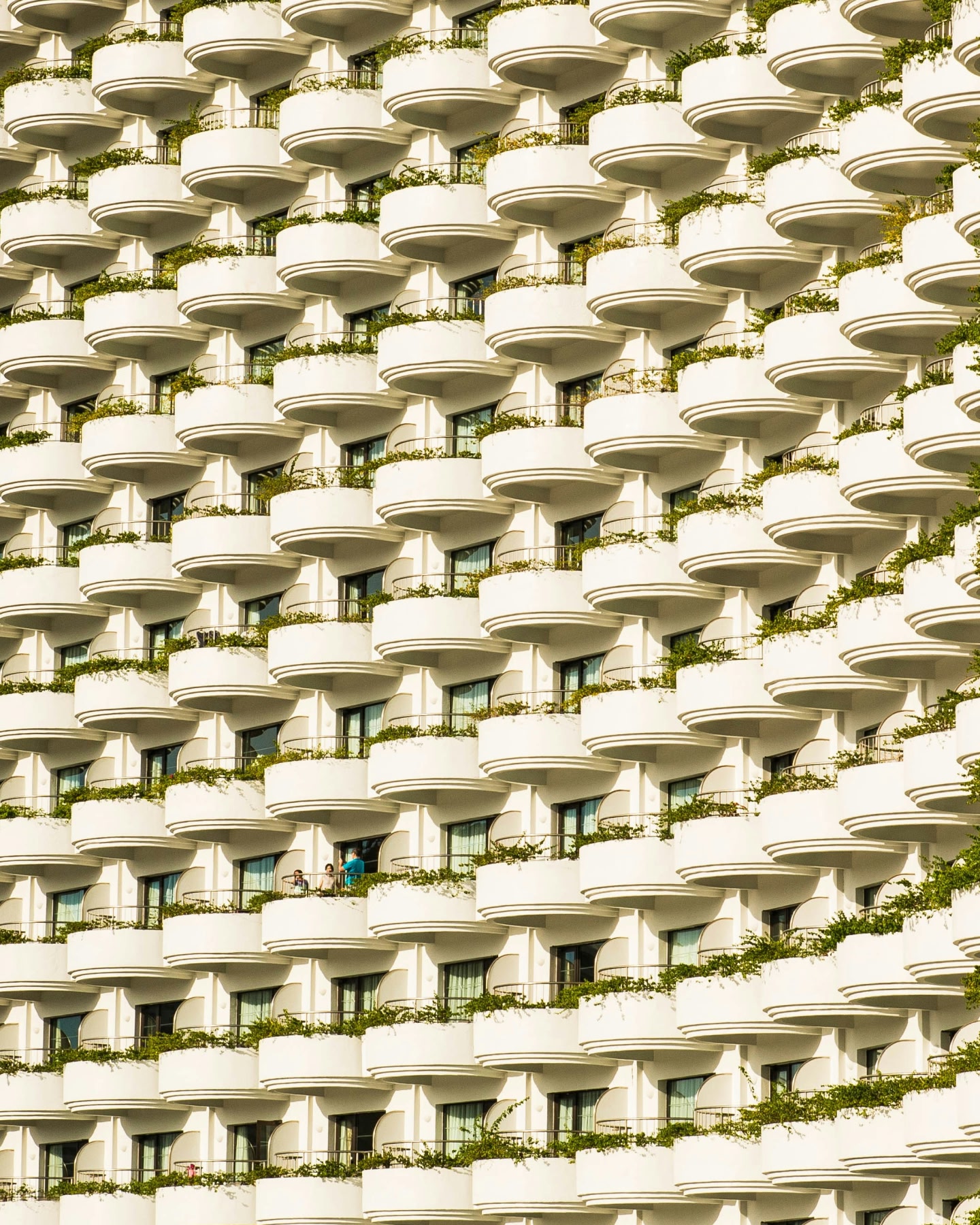 Façade d'hôtel moderne avec des rangées de balcons incurvés et de la verdure.