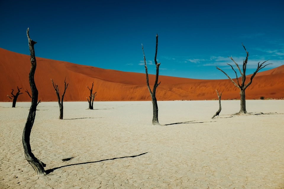 A photo of the famous Namib-Naukluft National Park