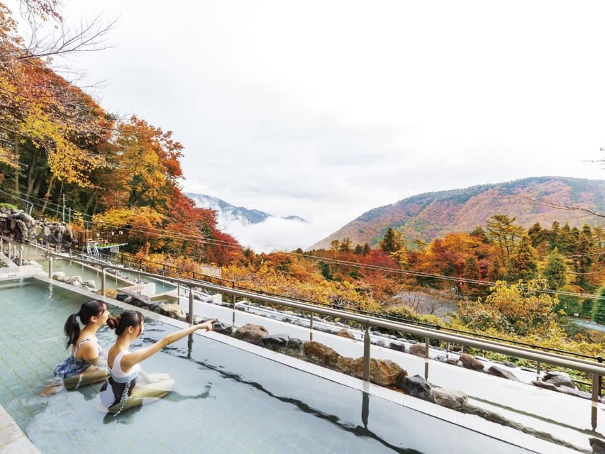 箱根小湧園天悠日式旅館