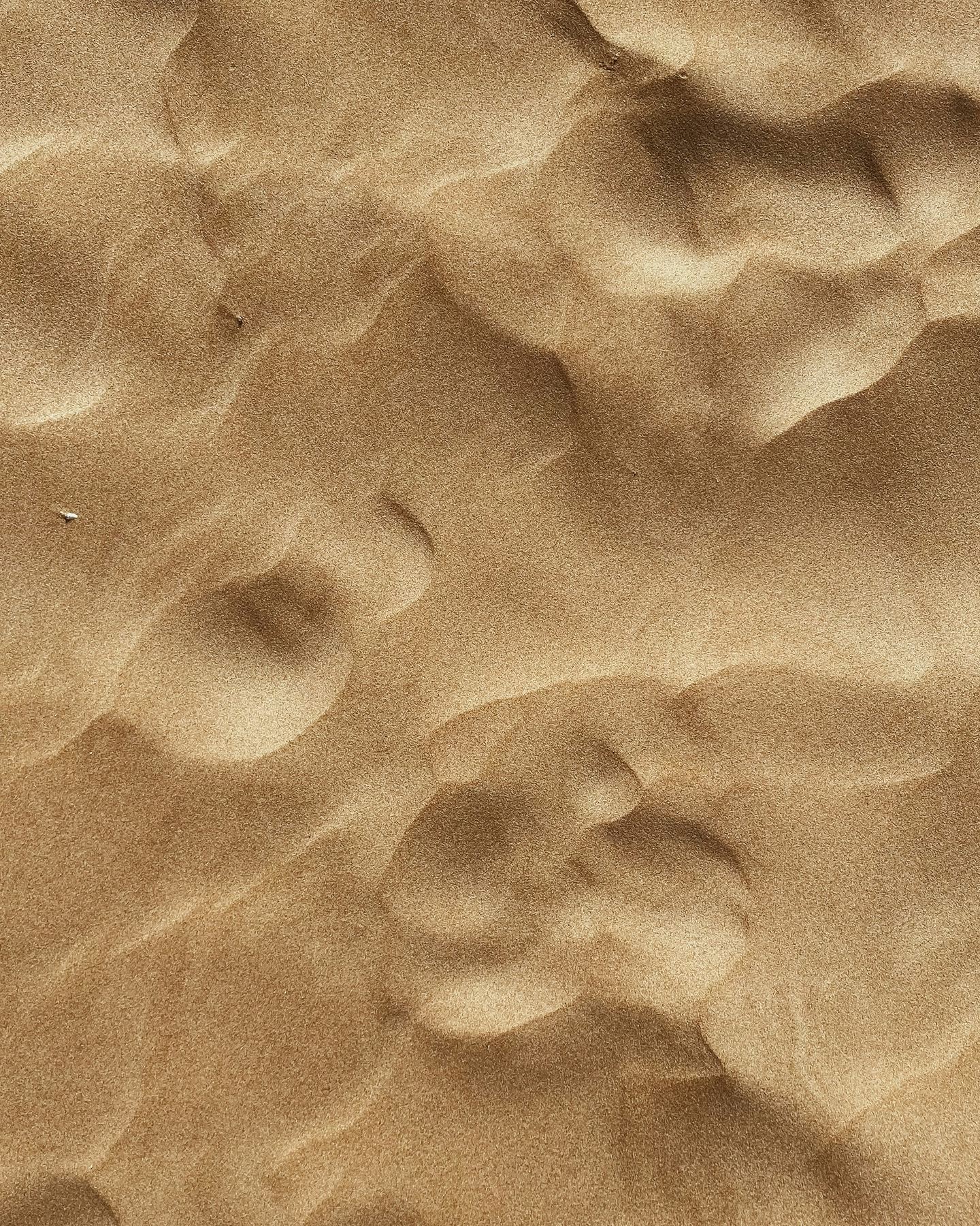 Windswept desert sands.