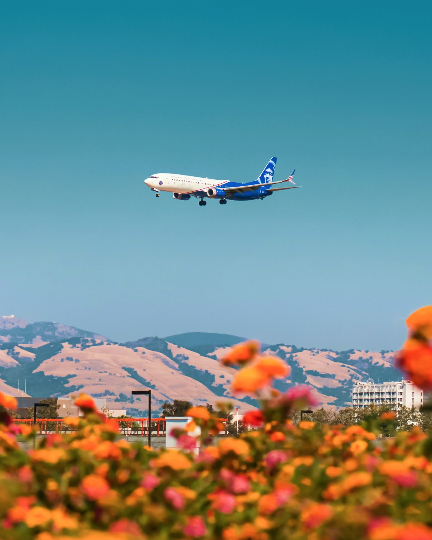 Avion de ligne volant au-dessus de fleurs colorées, avec des collines en arrière-plan.