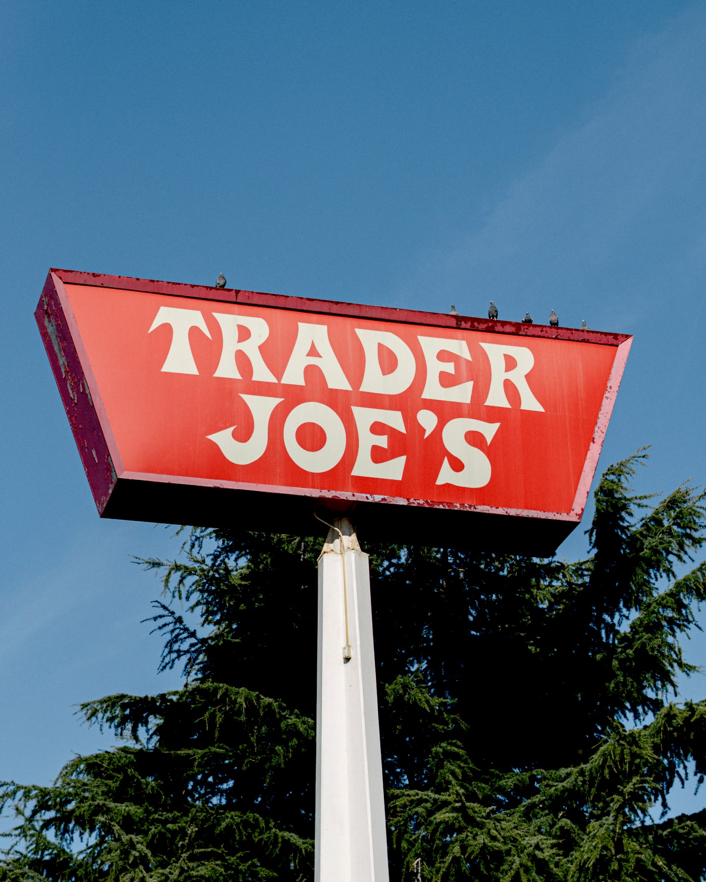 Trader-Joe’s-Straßenschild vor strahlend blauem Himmel.