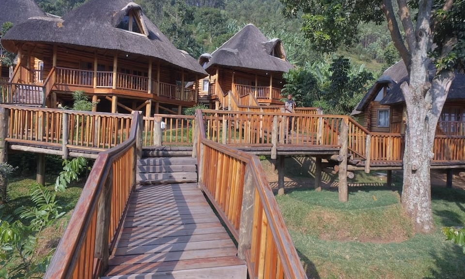 Hotelangebot Trackers Safari Lodge Bwindi