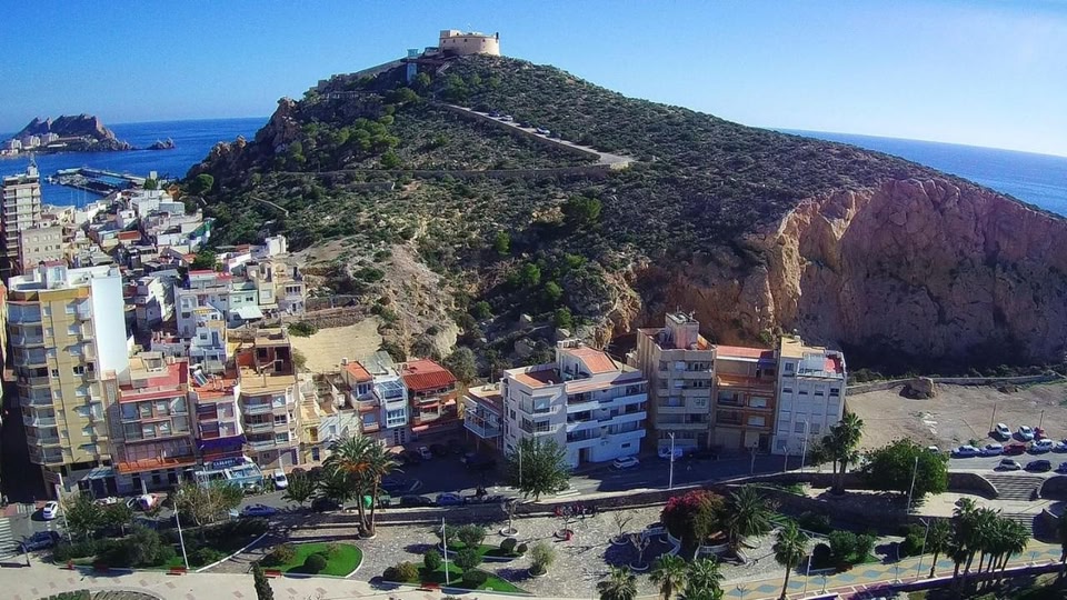 Lecoron