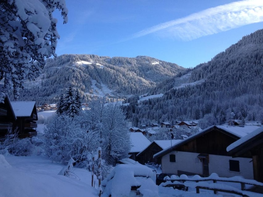 Appartement Azalee