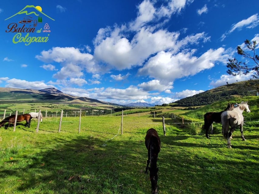 Balcon al Cotopaxi Hosteria