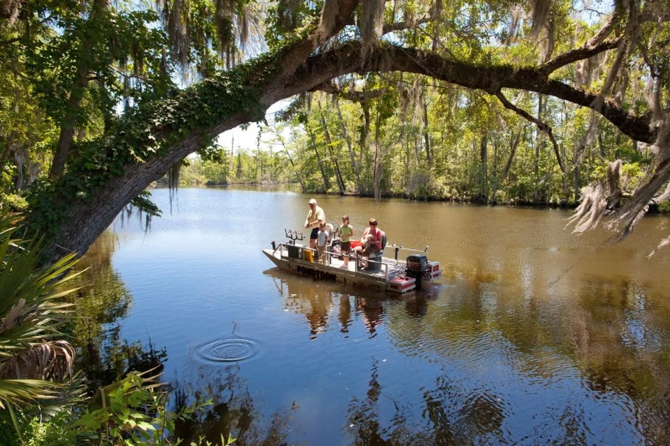 Live Oak Landing