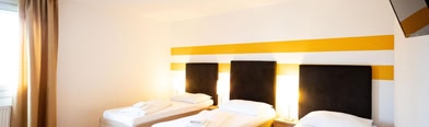 Lenas Donau Hotel
