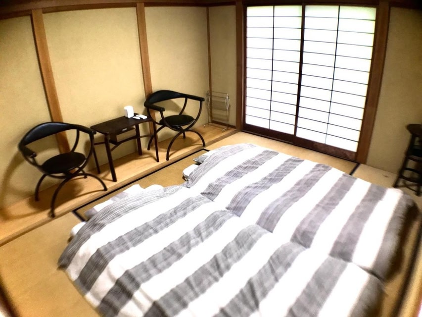 ののゆの スケッチャーズ スリップインズ：ウノ - バンクシア | SKECHERS JP