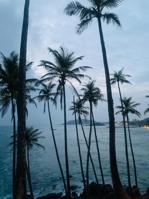 The Mango Retreat
