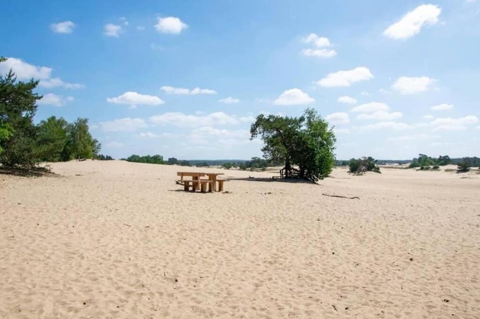 Forest-edge Family Bungalow, Hoenderloo Hotels - Skyscanner