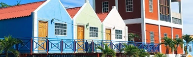 The Ritz Village