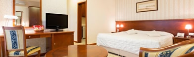 Hotel Orasac