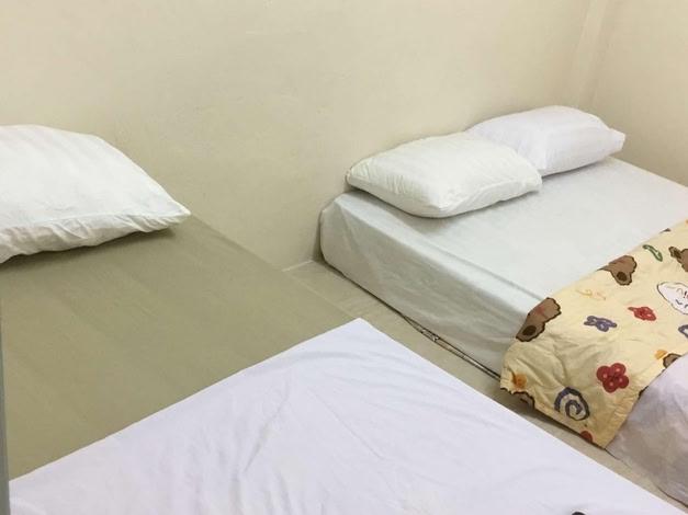 Hostel 24 Backpackers