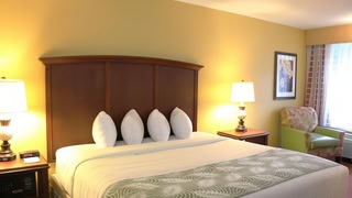 Rosen Inn International Near The Parks