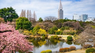 Kimpton Shinjuku Tokyo by IHG