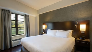 The Mosey Buffalo Williamsville, Tapestry Collection by Hilton