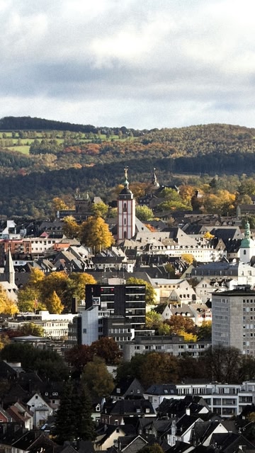 SI View
