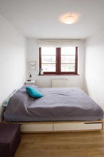 Apartament 22