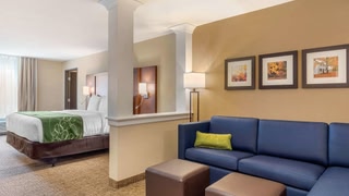 Comfort Inn & Suites Schenectady - Scotia
