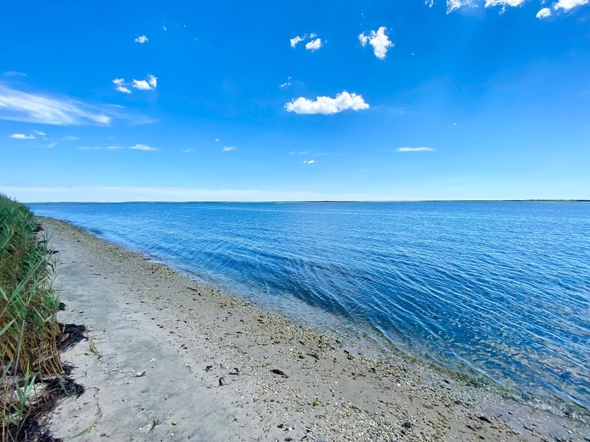 Mastic Beach Surf House